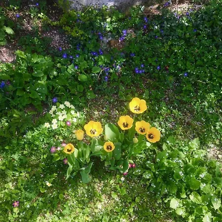 Casa Marili- Charmante By Interhome Sevgein