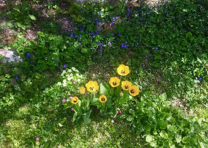 Casa Marili- Charmante By Interhome Sevgein